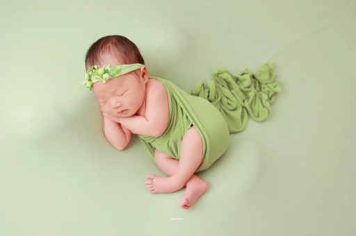 上饶孕妇不能接触的花 上饶孕妇不能接触的花